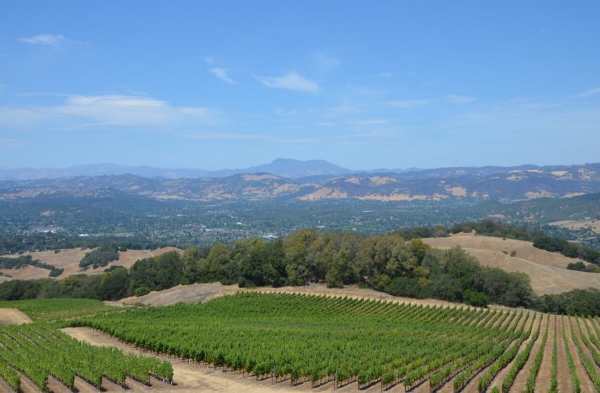 What is Santa Rosa, CA Known For? Get to Know this City